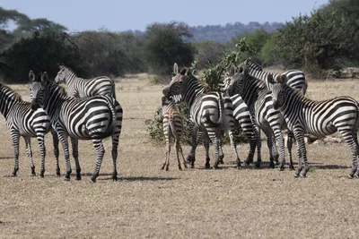 DSC_3471 (Large).JPG